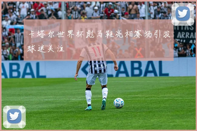 卡塔尔世界杯彪马鞋亮相赛场引发球迷关注