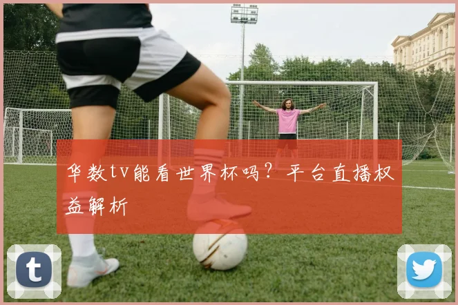 华数tv能看世界杯吗?平台直播权益解析