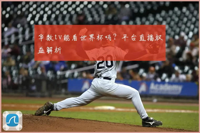 华数tv能看世界杯吗?平台直播权益解析