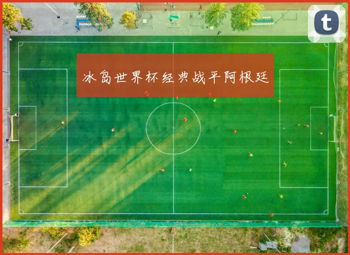 冰岛世界杯经典战平阿根廷