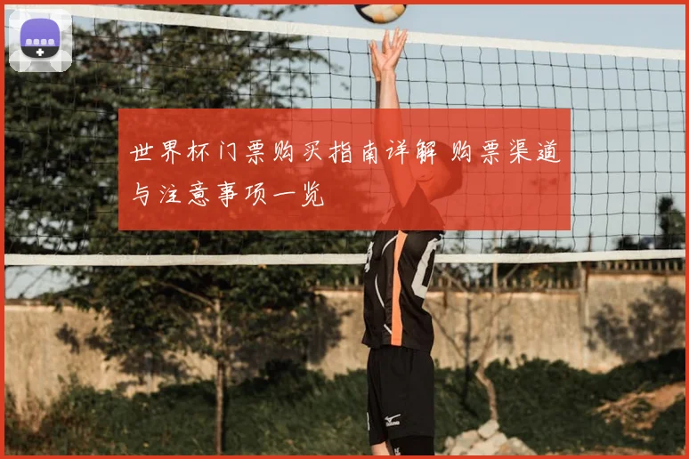 世界杯门票购买指南详解 购票渠道与注意事项一览