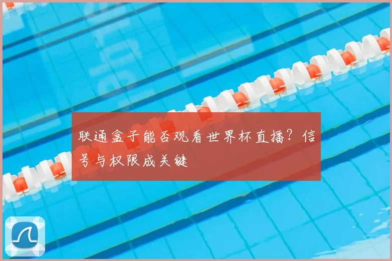 联通盒子能否观看世界杯直播?信号与权限成关键