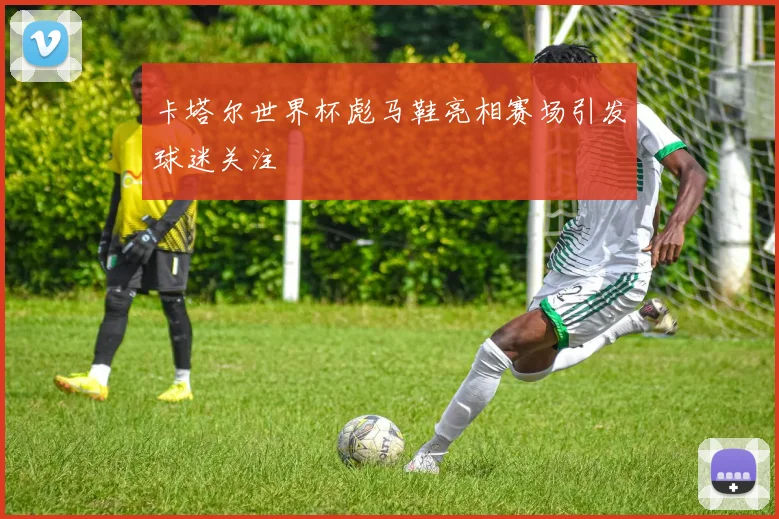 卡塔尔世界杯彪马鞋亮相赛场引发球迷关注