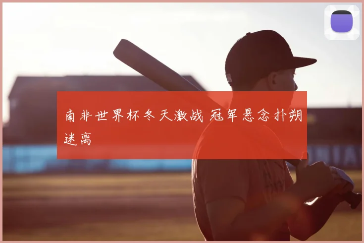 南非世界杯冬天激战 冠军悬念扑朔迷离