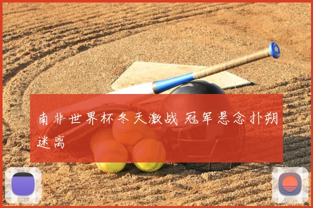 南非世界杯冬天激战 冠军悬念扑朔迷离